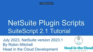 NetSuite Custom Plugin Type Script Walkthrough