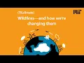 S5E5 Wildfires and how we re changing them