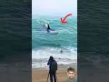 Download Lagu shork movie scene Hindi #shark #ocean #surfing @MOVIECLIPS #beach #movie #yearofyou #sea #shorts