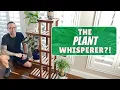 Get Your Green On Sleek And Modern Plant Stand - Free Plans Available