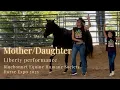 Live Liberty Performance at Bluebonnet Equine Humane Society Horse EXPO 2025