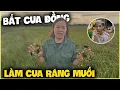 Download Lagu Cô Hồng | Bắt Cua về làm Món Siêu Ngon Cho Team Đức Mõm