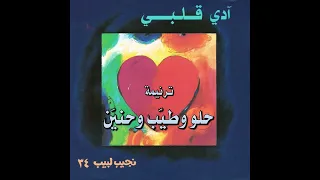 ترنيمة حلو وطيب وحنين المرنم نجيب لبيب 