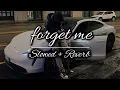 Lagu Forget Me Slowed And Reverb [Meet Desi Crew] King