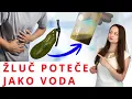 Download Lagu Stagnace žluči / 2 návyky, které zlepšují ODTOK ŽLUČI / ČISTÍME žlučník přirozeně