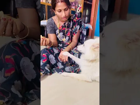 ఈరోజు మా పొట్టికి బోటి కూర పెట్టలేదని అలిగించి🙄🔥🔥