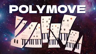Magnolia Polymove Explained The Ultimate Randomization Tool