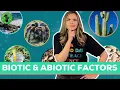Biotic and Abiotic Factors in an Ecosystem