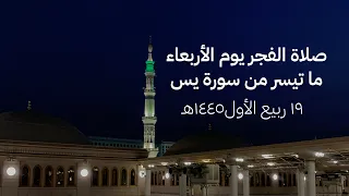 ما تيسر من سورة يس الشيخ أحمد بن طالب    صلاة الفجر عام ١٤٤٥ ه  ١٩ ربيع الأول دندنها