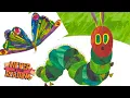 How Does a Caterpillar Change Eric Carle s Amazing Transformation Story