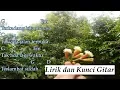 Download Lagu Kunci Gitar - Dia Mengerti | Lagu Rohani Kristen | Chord dan Lirik Lagu