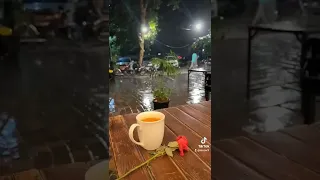 ياريتك معايا دندنها