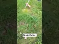 Download Lagu brush cutter machine 😍 ( weed control ).