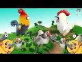 Download Lagu Đàn Gà Con - Gà Nhảy Sôi Động | Chicken Dance | Lk Đàn Heo Con Triệu View Hot Tiktok 2025