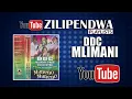 Download Lagu Zumbukuku - DDC Mlimani park