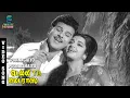 Download Lagu Punnagaiyo Poomazhaiyo Song Video | Delhi to Madras | Jaishankar Srividya Love Song | Music Studio