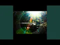 Download Lagu Psychedelic Dreamer