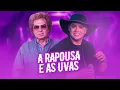Download Lagu A Raposa e as uvas - Reginaldo Rossi - [VERSÃO ARROCHA] @QUALITYREMIXX