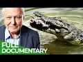 Download Lagu David Attenborough's Wild City | Episode 1: Hidden Wild | Free Documentary Nature