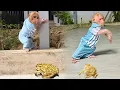 Download Lagu So Cute! Monkey Bibi Gets Curious and Hugs His Dad When He Sees a Toad for the First Time!