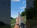 Lagu Dropping Geese On The Fly By! #hunting #huntingseason #hunters #waterfowl #geese #goose #hunt #like