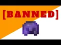 Why is Netherite Banned on the LifeSteal SMP