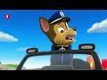 Chase goes to the Dentist 😳🦷 | PAW Patrol Series | CLIP