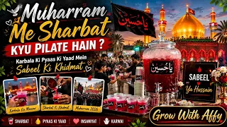 Muharram Mein Sharbat Kyu Pilaya Jata Hai? Gaya Karbala Sharbat Sabeel Vlog 2026 | Ya Hussain (A.S.)