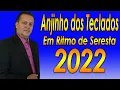 Download Lagu ANJINHO DOS TECLADOS O MELHOR DA SERESTA 2022