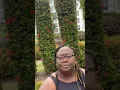 Download Lagu Checking In To See If I Went Viral #viral