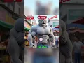 Download Lagu Mama, Papa Bawa Uang Sekarung #cat #funny #animation #ai #cartoon #comedy #shorts