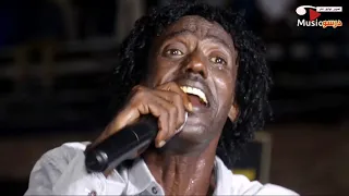 عاطف السماني سواح مراسي الشوق 