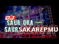 Download Lagu DJ SAHUR ORA SAUR SAK KAREPMU ‼️ BASS GEDRUK VIRAL || BY DJ ANDIKA Pakis Slow Bass