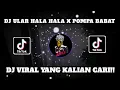 Download Lagu DJ ULAR HALA HALA X POMPA BABAT SLOWED\u0026REVERB VIRAL TIKTOK 2024