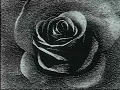 IMANU - Fingertips (feat. Sky M) (Visualizer)
