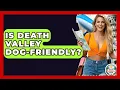 Is Death Valley Dog-friendly - The Family Getaway Guide