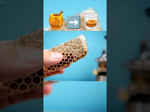 Что если бросить соты с медом в соковыжималку? #honey #honeycombs #juicer