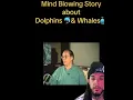 It s illegal to try to communicate with Whales and Dolphins