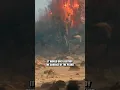 Download Lagu What Happened to a Planet After Being Hit by The Death Star? #shorts