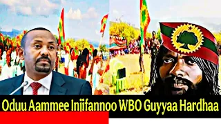 Oduu Aammee Adooleessa 6 2025 Injifannoo Cululuqaa Gooticha Jaal Marroo Guyyaa Hardhaa 