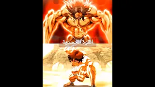 باكي ضد بيكل 