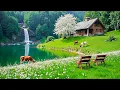 Download Lagu Restore Your Nervous System 🌿 Relaxing Music \u0026 Nature Sounds for Deep Sleep and Stress Relief #21