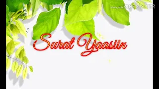 Download Surat Yaasiin Merdu pengantar tidur MP3