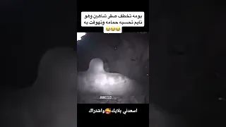 Shorts بومه تخطف صقر شاهين وهو نائم تحسبه حمامه والمصيبه 