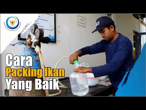 Cara Packing Yang Baik dan Benar