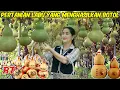 Download Lagu RAHASIA BOTOL MINUM PARA PENDEKAR | DARI LADANG KE BOTOL MINUM TRADISIONAL
