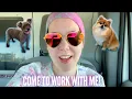 Day In The Life of a Mobile Dog Groomer Mobile Pet Grooming Business