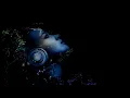Dua Lipa - Be The One (Netsky Remix)