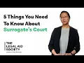 5 Things You Need to Know About Surrogate s Court
