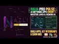 How to Build a Java Swing Gemini AI App Naija Pro Pulse Course Induction